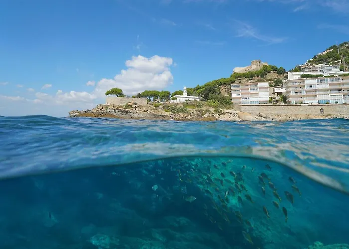 Sevilla 1 1b - Immo Barneda شقة